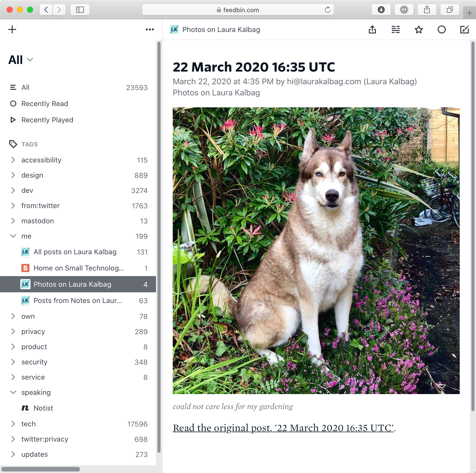 A photo of a dog in a flowerbed, displayed in the Feedbin interface in the browser.